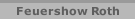 Feuershow Roth